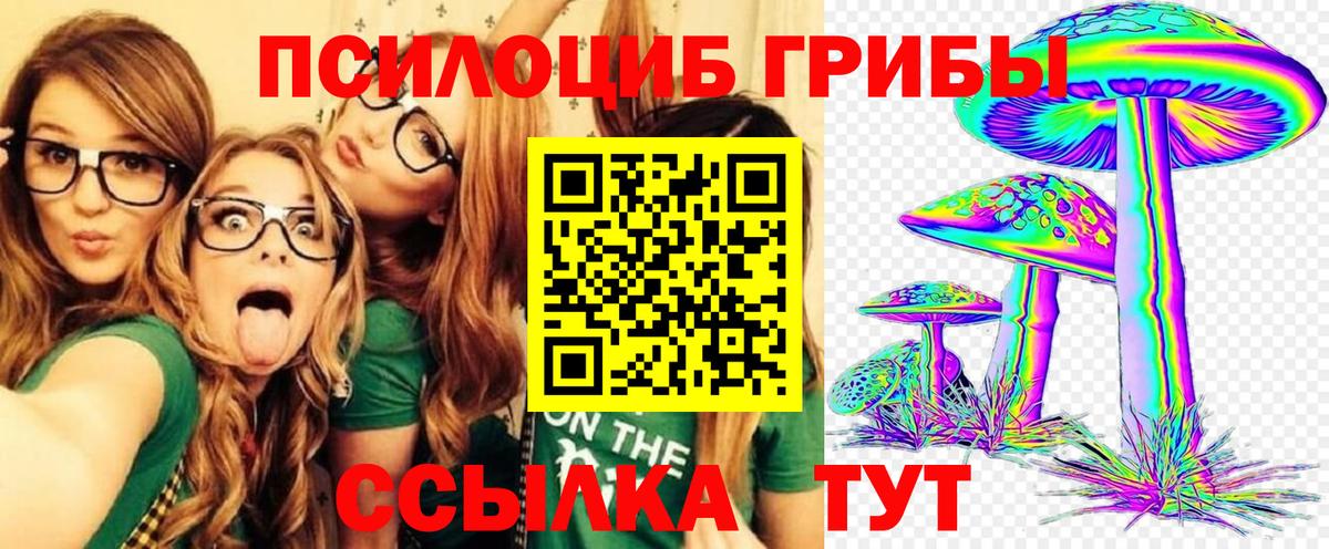Галлюциногенные грибы Psilocybe Родники