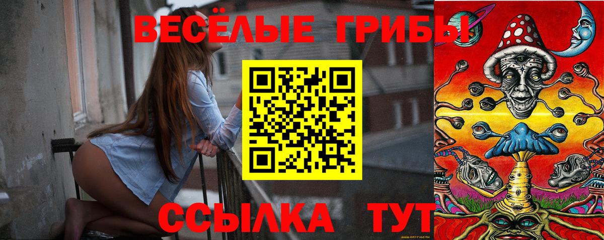 где купить наркоту  Галлюциногенные грибы прущие грибы  Вход с VPN  Родники 
